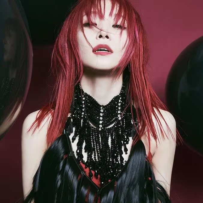 LiSA演唱會飛