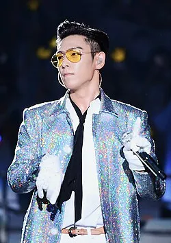 T.O.P 演唱會飛