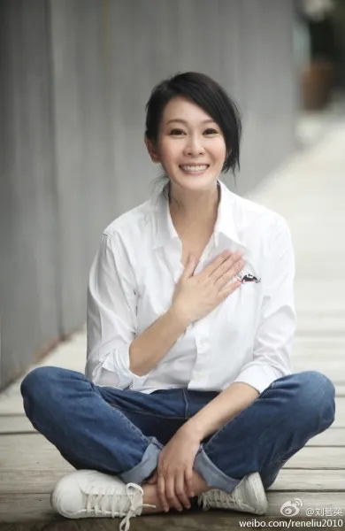 劉若英演唱會飛
