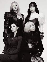 2NE1演唱會2024香港站｜2024-25 2NE1 ASIA TOUR [WELCOME BACK] IN HONG KONG